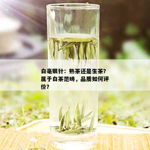 白毫银针：熟茶还是生茶？属于白茶范畴，品质如何评价？