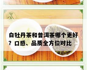 白牡丹茶和普洱茶哪个更好？口感、品质全方位对比