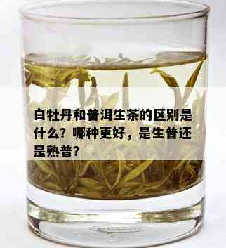 白牡丹和普洱生茶的区别是什么？哪种更好，是生普还是熟普？