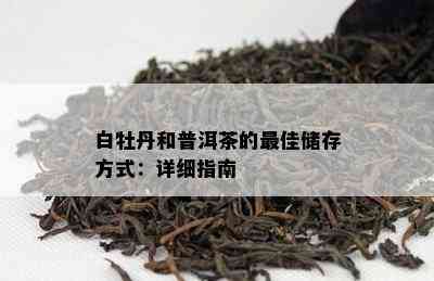 白牡丹和普洱茶的更佳储存方式：详细指南