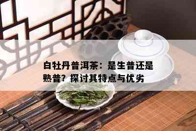 白牡丹普洱茶：是生普还是熟普？探讨其特点与优劣