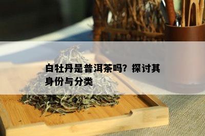 白牡丹是普洱茶吗？探讨其身份与分类