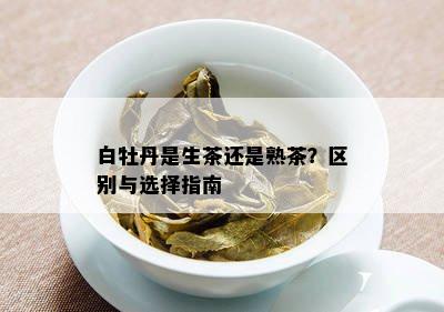 白牡丹是生茶还是熟茶？区别与选择指南