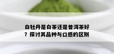 白牡丹是白茶还是普洱茶好？探讨其品种与口感的区别