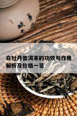 白牡丹普洱茶的功效与作用解析及价格一览