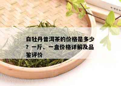 白牡丹普洱茶的价格是多少？一斤、一盒价格详解及品鉴评价