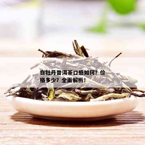 白牡丹普洱茶口感如何？价格多少？全面解析！