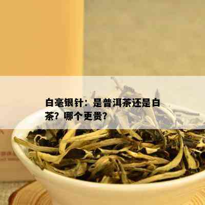 白毫银针：是普洱茶还是白茶？哪个更贵？