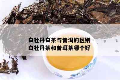 白牡丹白茶与普洱的区别-白牡丹茶和普洱茶哪个好