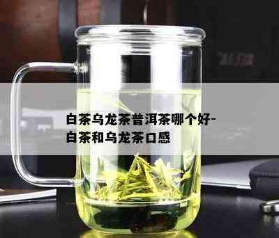 白茶乌龙茶普洱茶哪个好-白茶和乌龙茶口感