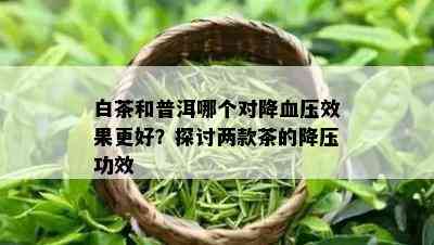 白茶和普洱哪个对降血压效果更好？探讨两款茶的降压功效