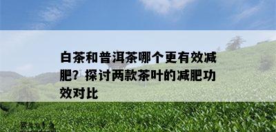 白茶和普洱茶哪个更有效减肥？探讨两款茶叶的减肥功效对比