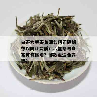 白茶六堡茶普洱如何正确储存以防止变质？六堡茶与白茶有何区别？哪款更适合养胃？