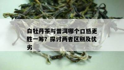 白牡丹茶与普洱哪个口感更胜一筹？探讨两者区别及优劣