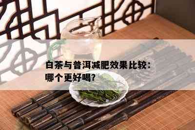 白茶与普洱减肥效果比较：哪个更好喝？