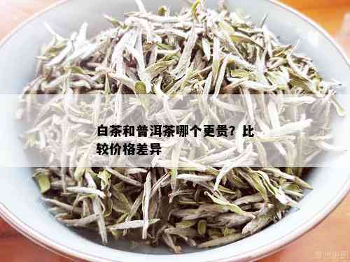 白茶和普洱茶哪个更贵？比较价格差异