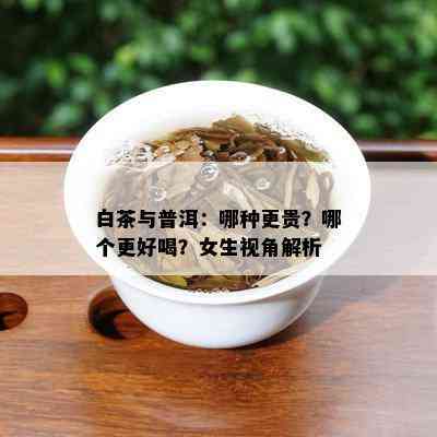 白茶与普洱：哪种更贵？哪个更好喝？女生视角解析