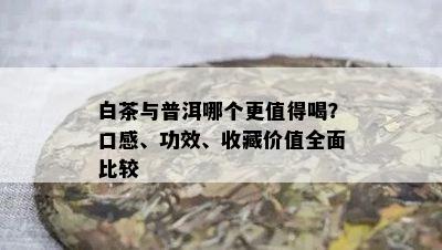 白茶与普洱哪个更值得喝？口感、功效、收藏价值全面比较