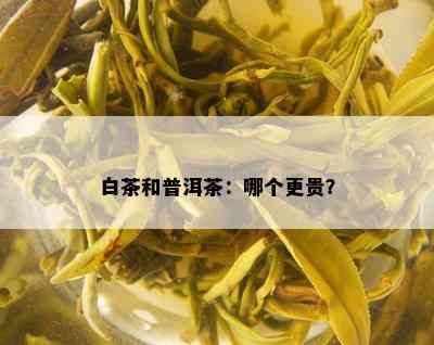 白茶和普洱茶：哪个更贵？