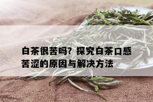 白茶很苦吗？探究白茶口感苦涩的原因与解决方法