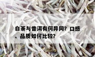 白茶与普洱有何异同？口感、品质如何比较？