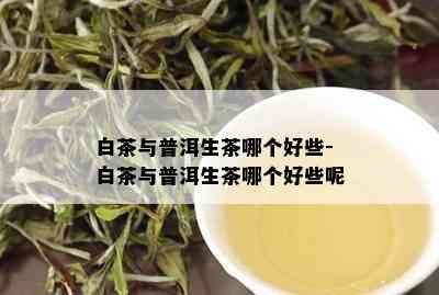 白茶与普洱生茶哪个好些-白茶与普洱生茶哪个好些呢