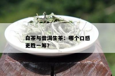 白茶与普洱生茶：哪个口感更胜一筹？