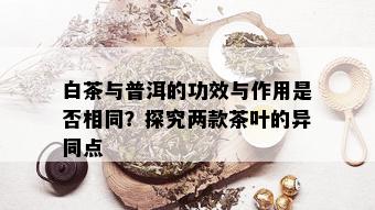 白茶与普洱的功效与作用是否相同？探究两款茶叶的异同点