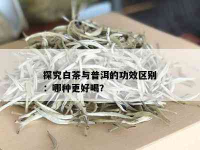 探究白茶与普洱的功效区别：哪种更好喝？