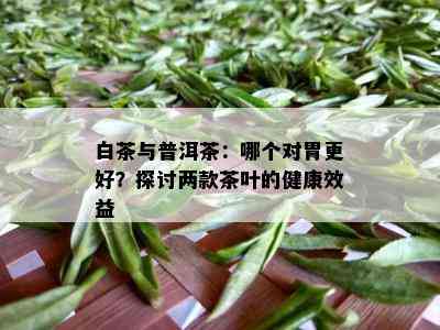 白茶与普洱茶：哪个对胃更好？探讨两款茶叶的健康效益