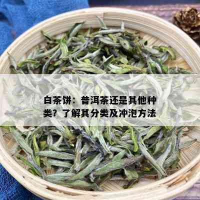 白茶饼：普洱茶还是其他种类？了解其分类及冲泡方法