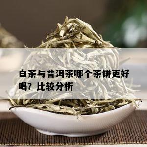 白茶与普洱茶哪个茶饼更好喝？比较分析