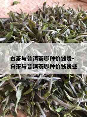 白茶与普洱茶哪种价钱贵-白茶与普洱茶哪种价钱贵些