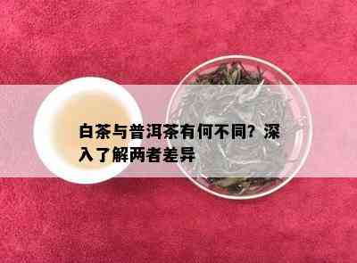 白茶与普洱茶有何不同？深入了解两者差异