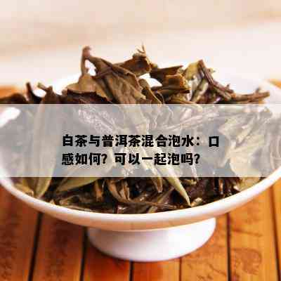 白茶与普洱茶混合泡水：口感如何？可以一起泡吗？