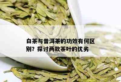 白茶与普洱茶的功效有何区别？探讨两款茶叶的优劣