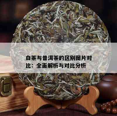 白茶与普洱茶的区别图片对比：全面解析与对比分析