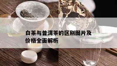 白茶与普洱茶的区别图片及价格全面解析