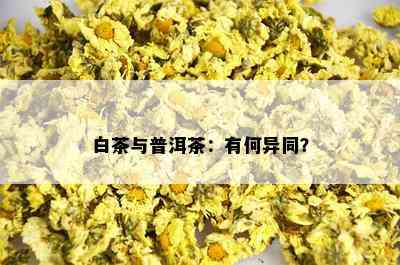 白茶与普洱茶：有何异同？