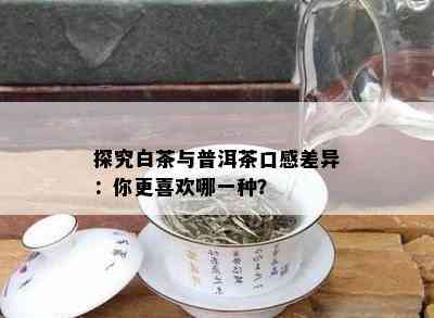 探究白茶与普洱茶口感差异：你更喜欢哪一种？