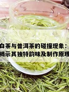 白茶与普洱茶的碰撞现象：揭示其独特韵味及制作原理