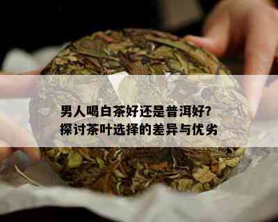 男人喝白茶好还是普洱好？探讨茶叶选择的差异与优劣