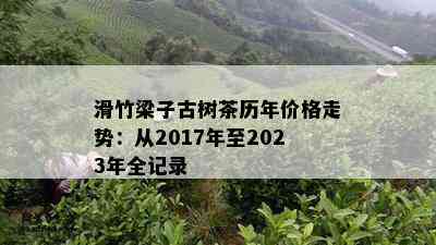 滑竹梁子古树茶历年价格走势：从2017年至2023年全记录