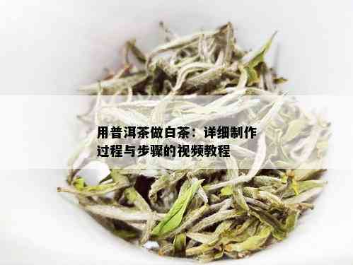 用普洱茶做白茶：详细制作过程与步骤的视频教程