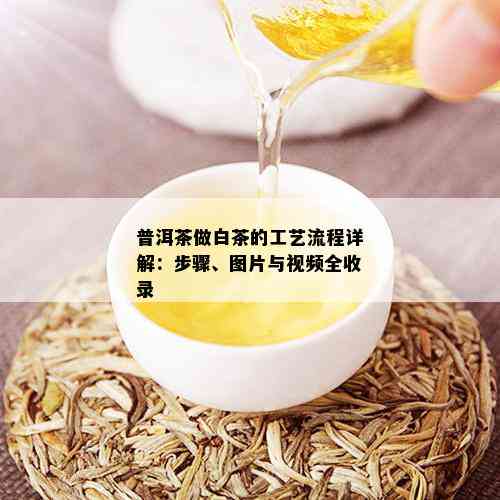 普洱茶做白茶的工艺流程详解：步骤、图片与视频全收录