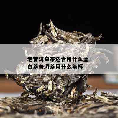 泡普洱白茶适合用什么壶-白茶普洱茶用什么茶杯