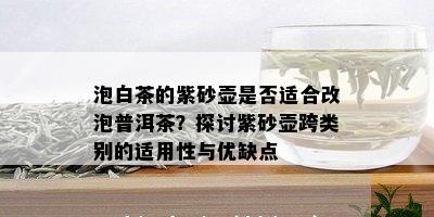 泡白茶的紫砂壶是否适合改泡普洱茶？探讨紫砂壶跨类别的适用性与优缺点