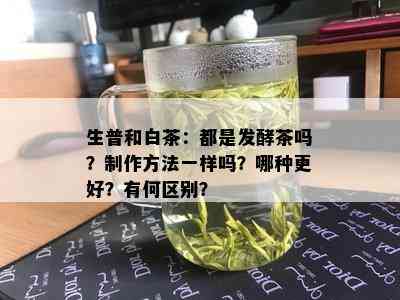 生普和白茶：都是发酵茶吗？制作方法一样吗？哪种更好？有何区别？