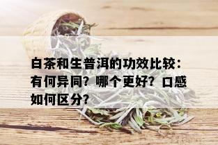 白茶和生普洱的功效比较：有何异同？哪个更好？口感如何区分？