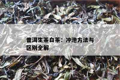 普洱生茶白茶：冲泡方法与区别全解